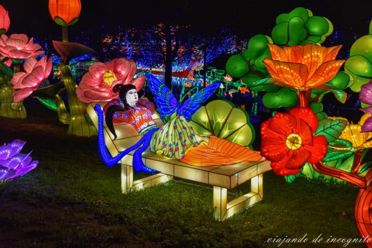 Farolillos chinos que a una mujer tumbada rodeada de flores de colores de noche