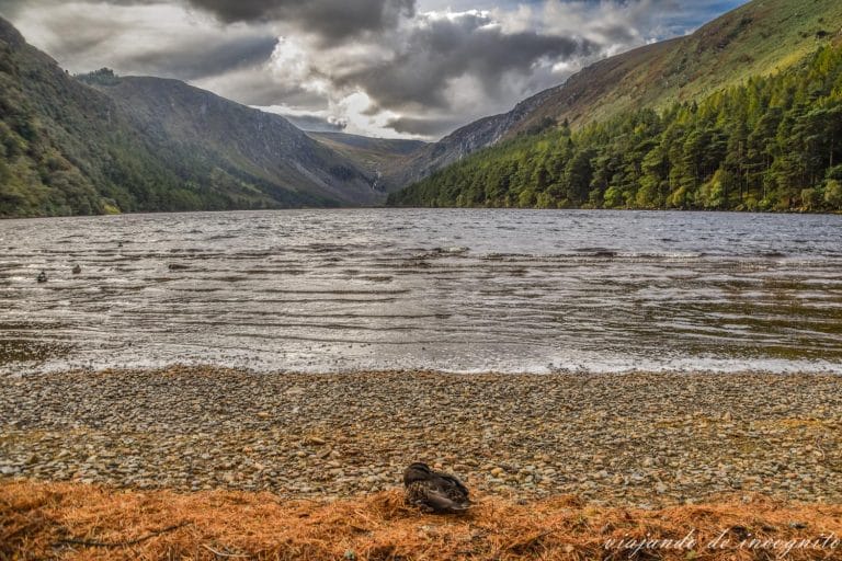 Glendalough