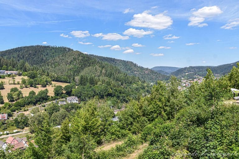 Vistas de Schiltach desde el castillo, colinas verdes y cielo despejado