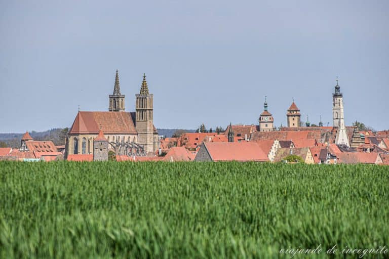 Primer plano de la hierba de una pradera por la que sobresale la iglesia, tejados y torres de Rothenburg ob der Tauber
