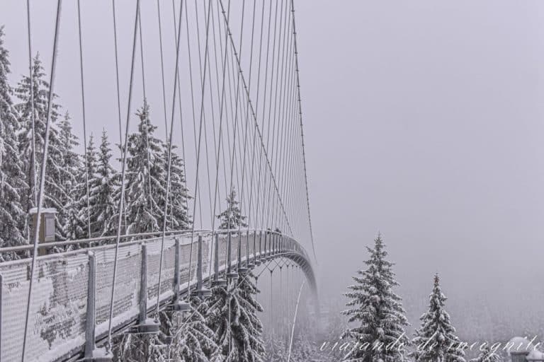 Puente colgante perdiéndose en la niebla un día de invierno con los árboles cubiertos de nieve