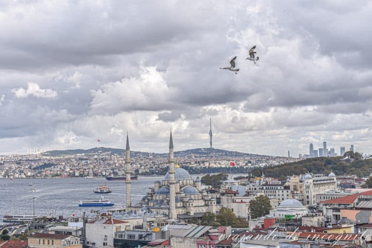 Dos gaviotas volando sobre la Mezquita Nueva vista desde Sefa-i-Hürrem