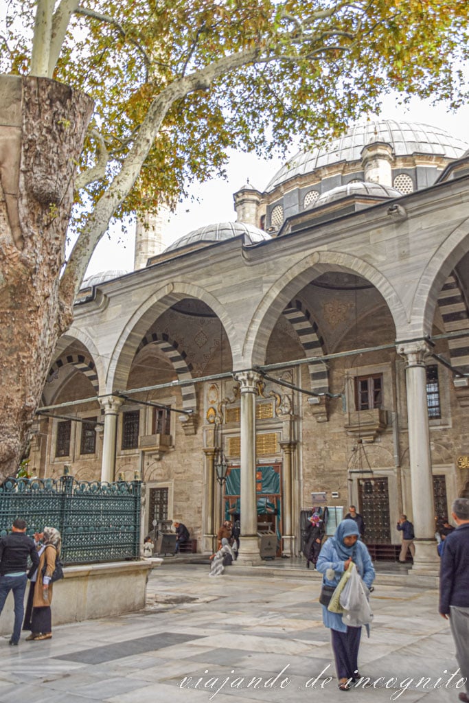 Personas en el patio de la Mezquita de Eyüp con el tronco de un árbol en medio