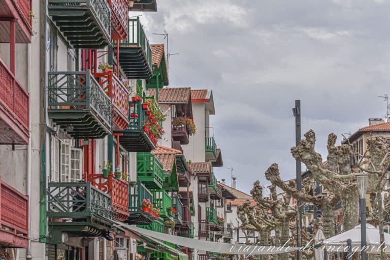 Detalle de los balcones de colores decorados con flores frente a árboles desnudos en el barrio de la Marina