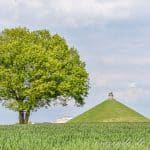 Montículo del león a lo lejos y un gran árbol. uno de los lugares qué ver en Waterloo