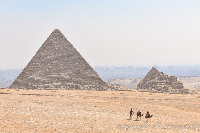 Tres camellos caminando con la pirámide de Keops al fondo