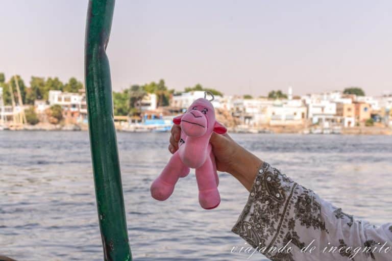 Mano sujetando un peluche de un camello rosa con la isla elefantina de fondo
