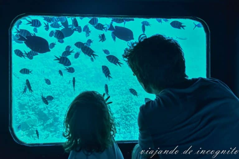 Niña pequeña con su padre en un submarino de fondo de cristal tocando la ventana donde se ven peces