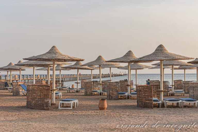 Playa del Stella Beach Resort &spa en Makadi Bay con hamacas y sombrillas con techo de paja