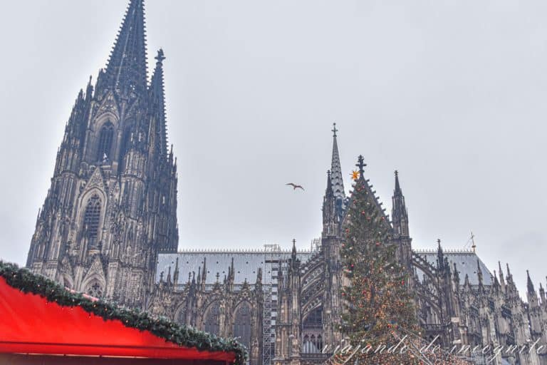Árbol de navidad, luces y parte de un puesto de color rojo del mercado, con las torres de la catedral al fondo