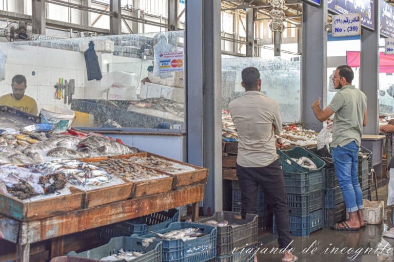 Pescaderos hablando frente a sus puestos en el mercado de pescado de Hurghada