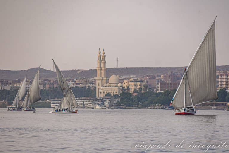 Falucas navegando por el Nilo en Asuán y al fondo la gran mezquita de Asuán