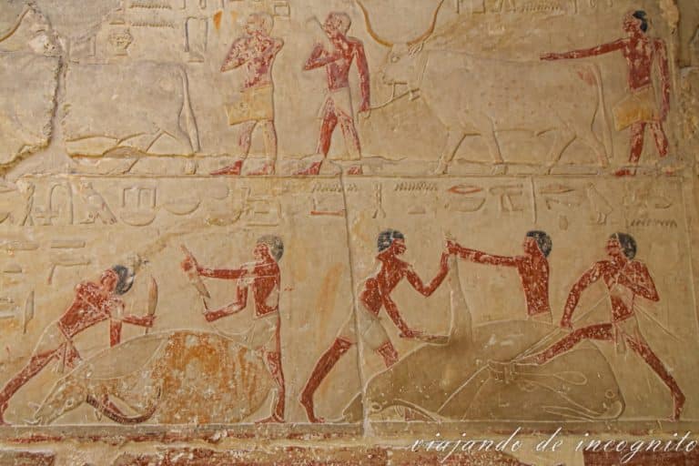 Imágenes de caza con restos de policromía en la tumba de Idut