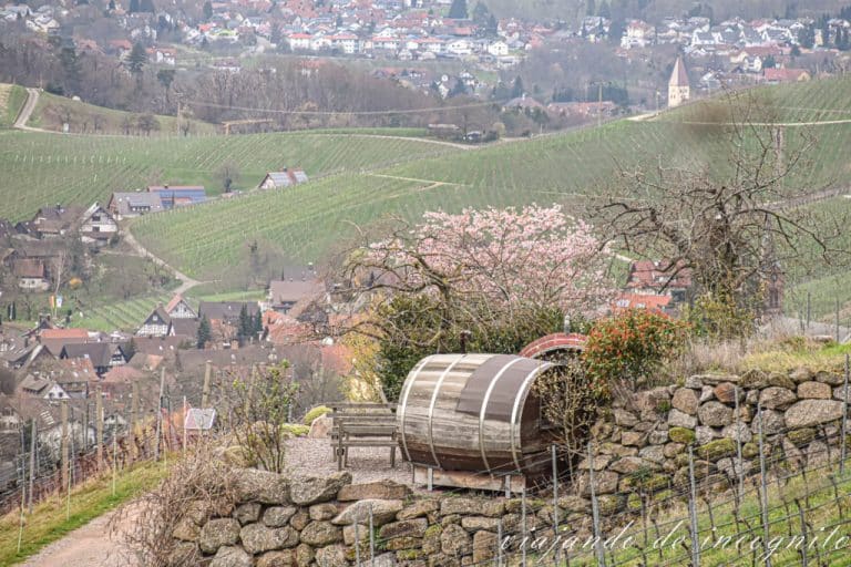 Barril de vino entre viñedos con vistas a Sasbachwalden..
