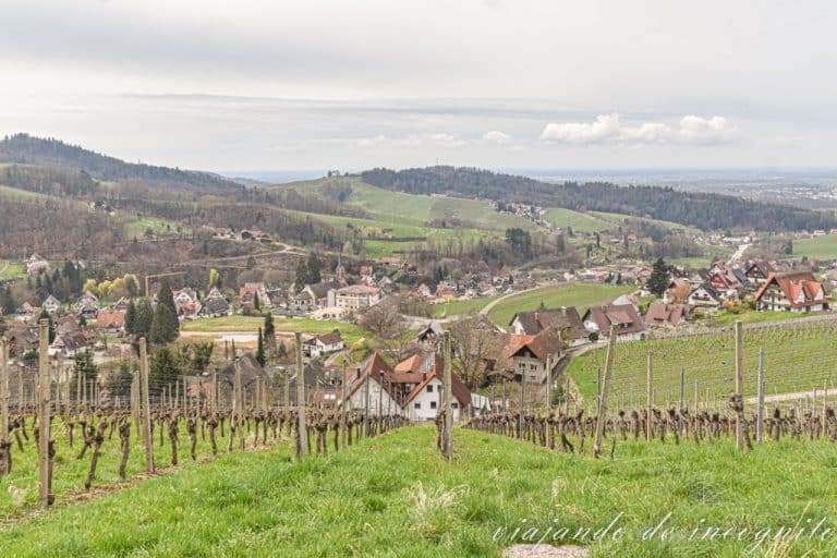 Vistas de sasbachwalden desde el mirador Obere Langert. Uno de los lugares que ver en Sasbachwalden.