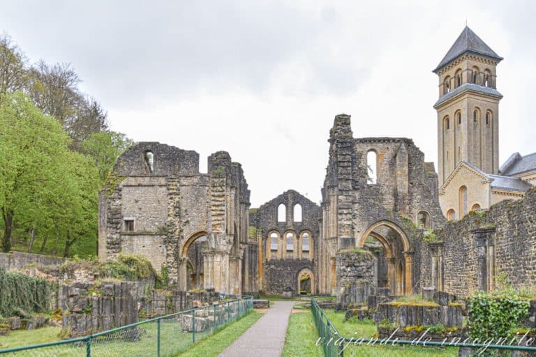 Ruinas de la primera abadía de Orval