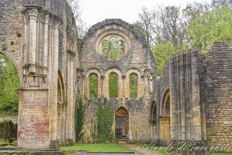 Ruinas de la antigua iglesia la Abadía de Orval. Se ve el frontón norte del crucero decorado con un rosetón.