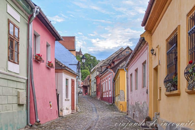 Calle Tamplarilor. Rumanía