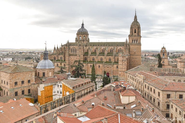 Vista de la catedral Nueva de Salamanca desde lo alto de la Clerecía