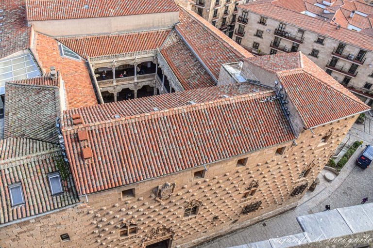 Vista de las casa de las conchas desde lo alto de la Clerecía, Salamanca