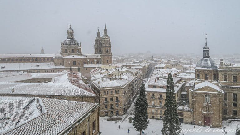 Vistas de Salamanca nevada desde la catedral