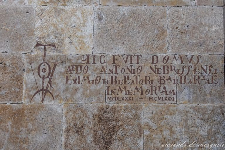 Vitor de Antonio Nebrija, Salamanca