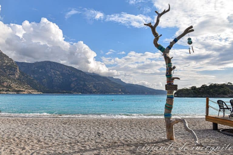 Árbol decorado con ojos de Fátima en la playa de Ölüdeniz en la costa turquesa