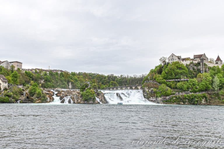 Vista general de las cataratas del Rin y el castillo de Laufen desde la orilla de Neuhausen
