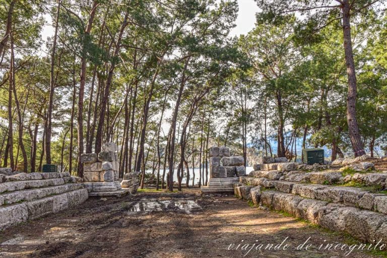 Ruinas de la ciudad antigua de Fasélide rodeadas de altos pinos.