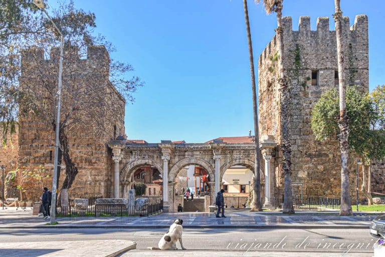 Un perro blanco y negro está frente a la puerta de Adriano de Antalya en la costa turquesa