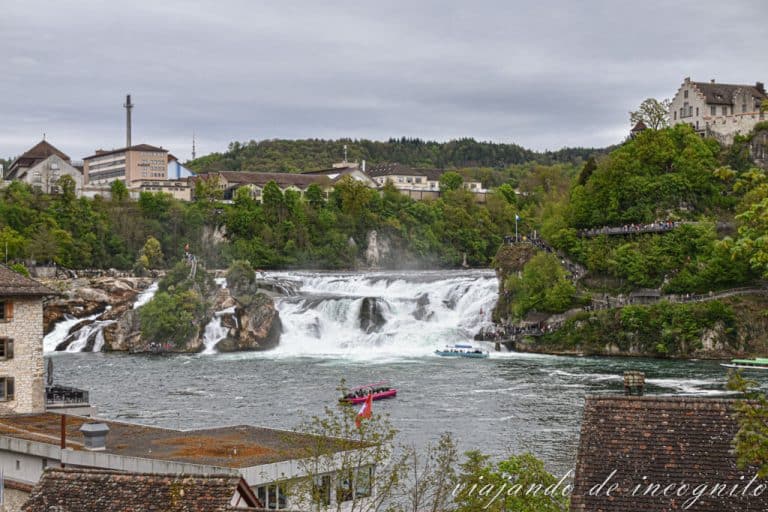Vista de las cataratas del Rin desde la parte alta de neuhausen am Rheinfall.