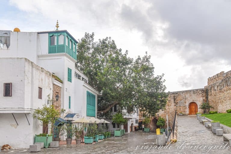 Plaza de la Kasbah donde está el museo de Ibn Battuta