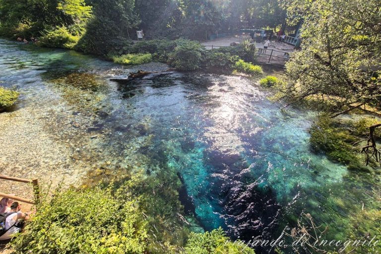 Agua color turquesa del manantial del Blue Eye