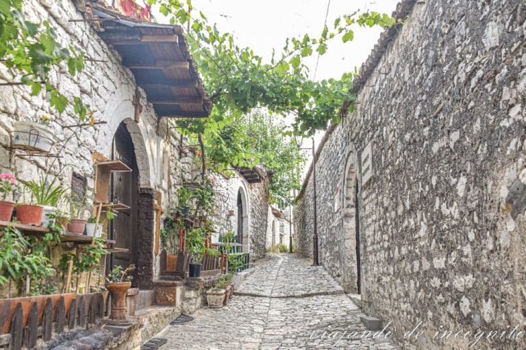 Calle del castillo de Berat protegida con hojas verdes del calor