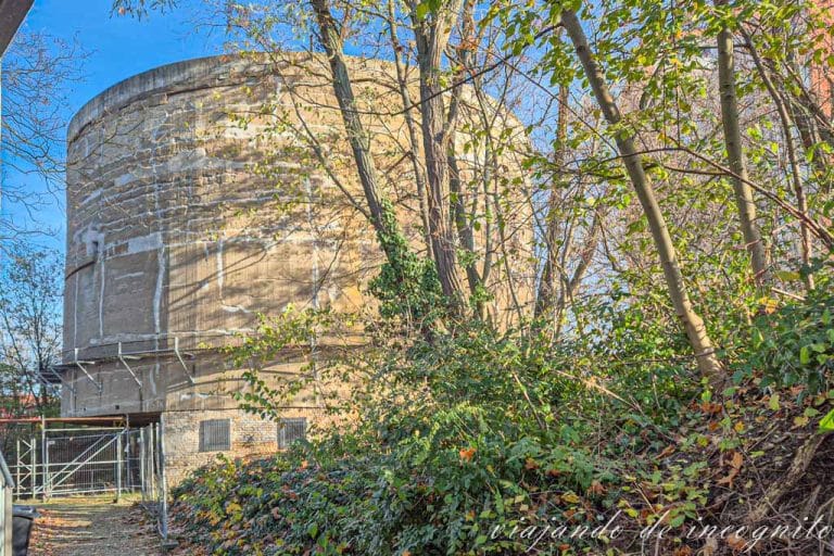 Cuerpo de carga pesada entre ramas de áarboles