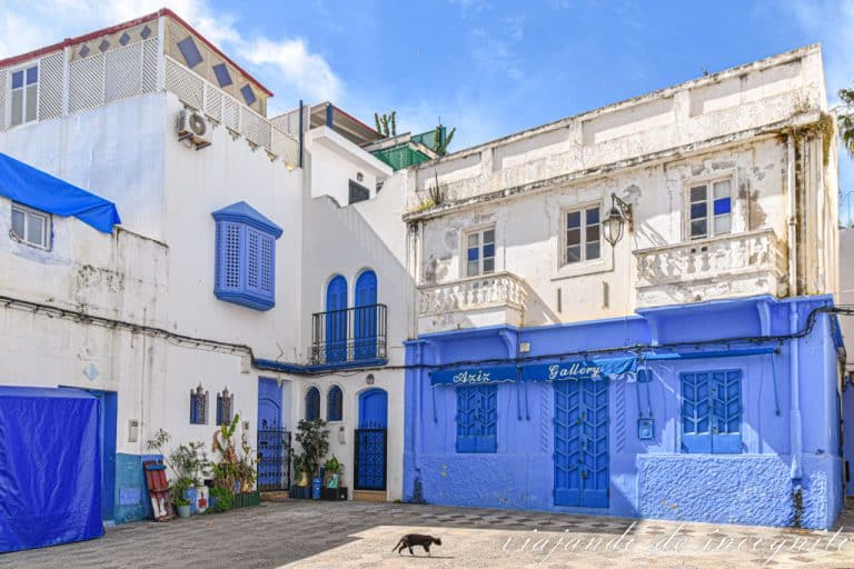 Un gato negro cruza una plazoleta de la Medina de Asilah con edificios blancos y azules.