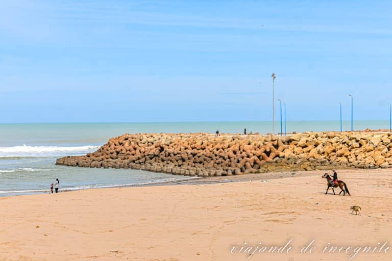 Playa de Asilah vista desde las murallas. Hay alguna persona en la arena y uno paseando a caballo.