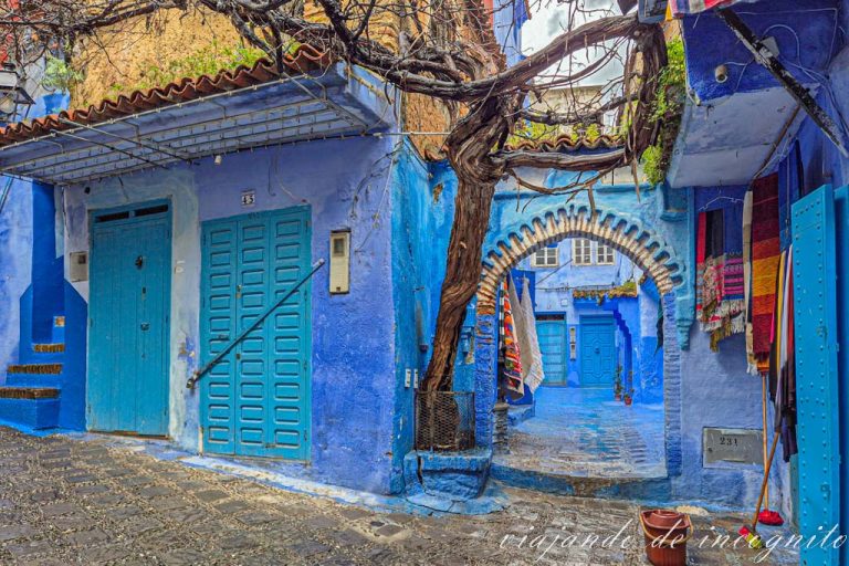 Un árbol crece junto a la entrada del callejón Rahmouni