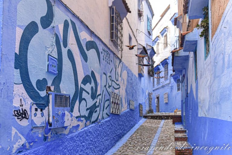 Calle azul de la Medina de Chefchaouen decorado con un mural azul. Al fondo se ve un gato.