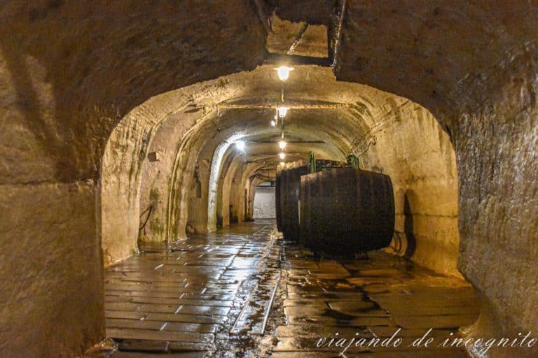 Paseo de la bodega de Pilsner Urquell, donde se ven grandes barriles al fondo.