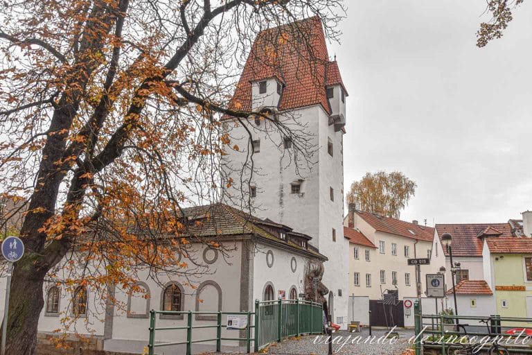 Torre Rabenstejn vista a través de las ramas de un árbol.