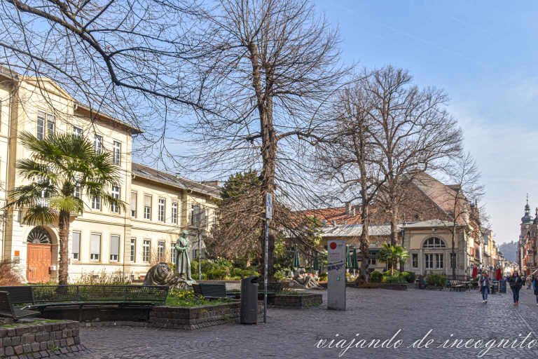 Jardín de anatomía de Heidelberg sin gente y con los árboles desnudos.