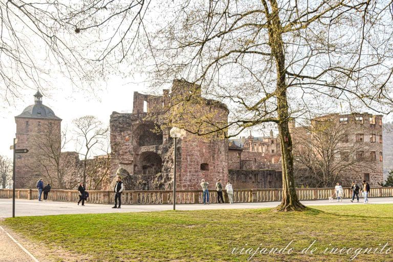 Castillo de Heidelberg visto desde sus jardines