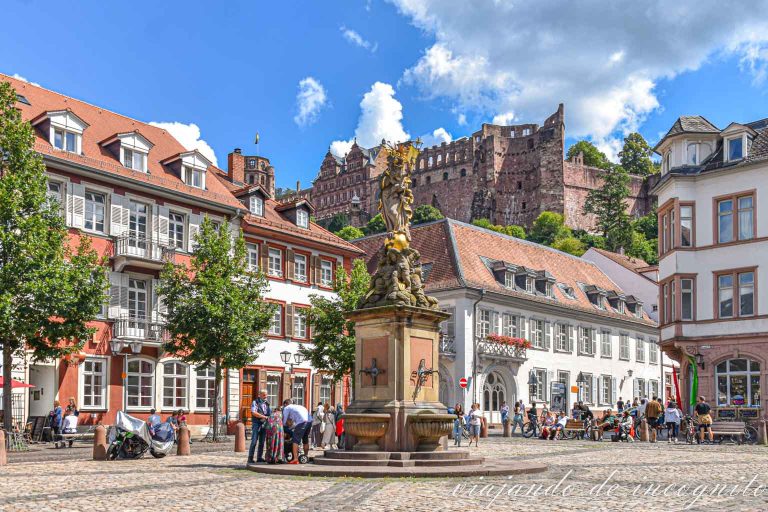Kornmarkt de Heidelberg con árboles frondosos en ella.