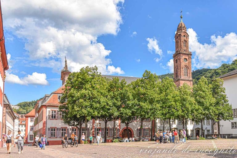 Vista del edificio de la antigua universidad de Heidelberg con frondosos árboles frente a él.