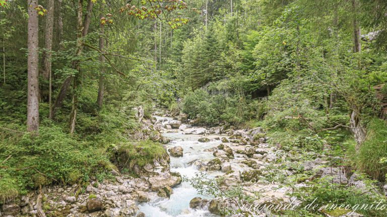 Zauberwald