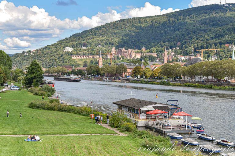 Zona verde con vistas al castillo de Heidelberg visto desde el puente Theodor-Heuss.