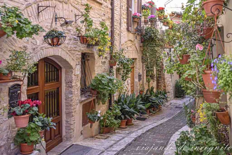 Callejón empedrado de Spello decorado con numerosas plantas.