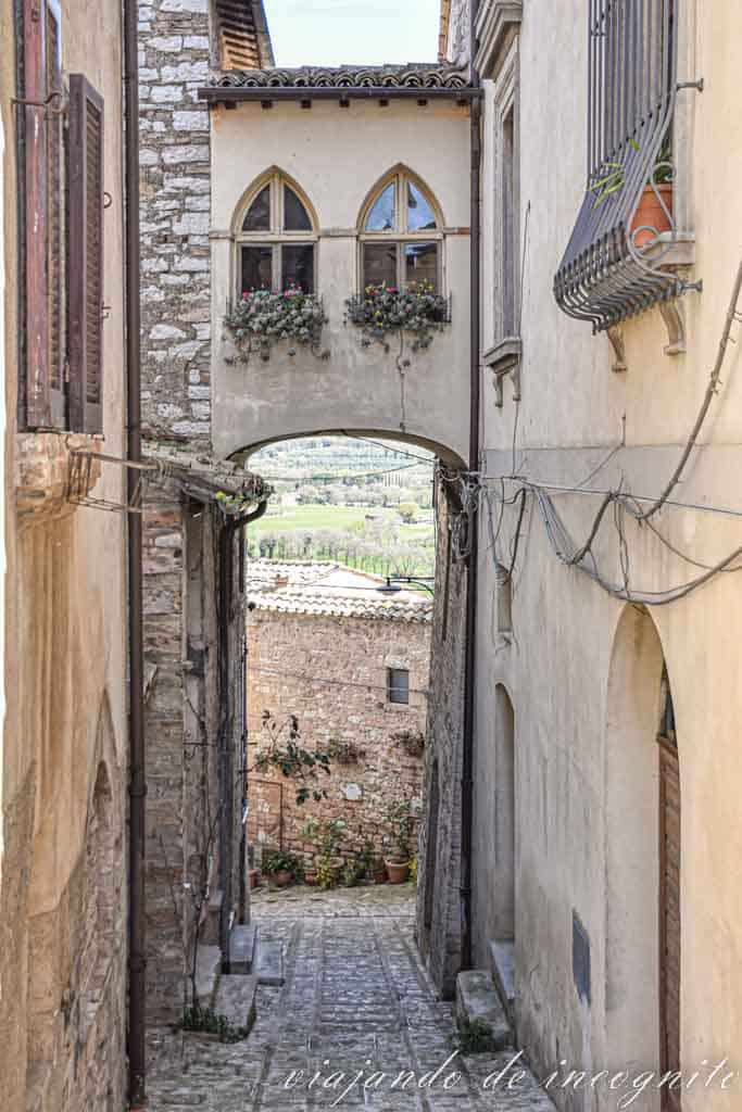 Callejón estrecho de Spello que termina en un arco donde hay dos ventanas decoradas con plantas.