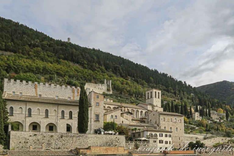 Vistas del palacio ducal y de la catedral desde la plaza Grande